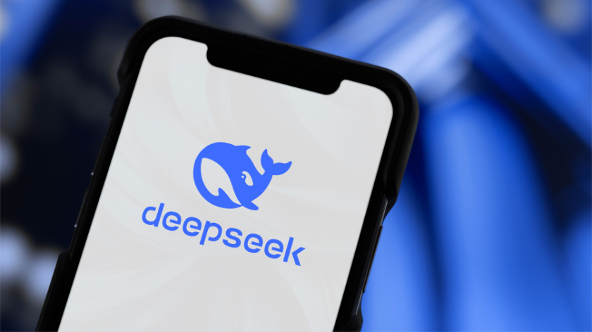 DeepSeek AI platform.png