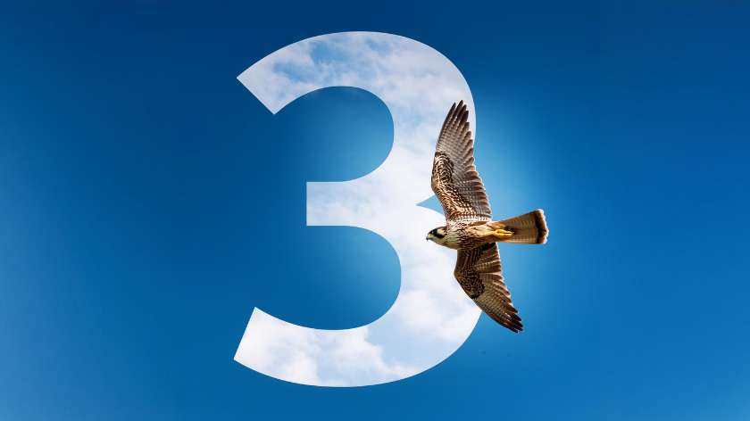 AI-generated image of a falcon flying in the air set against a number 3 made of a cloudy sky set against a blue background